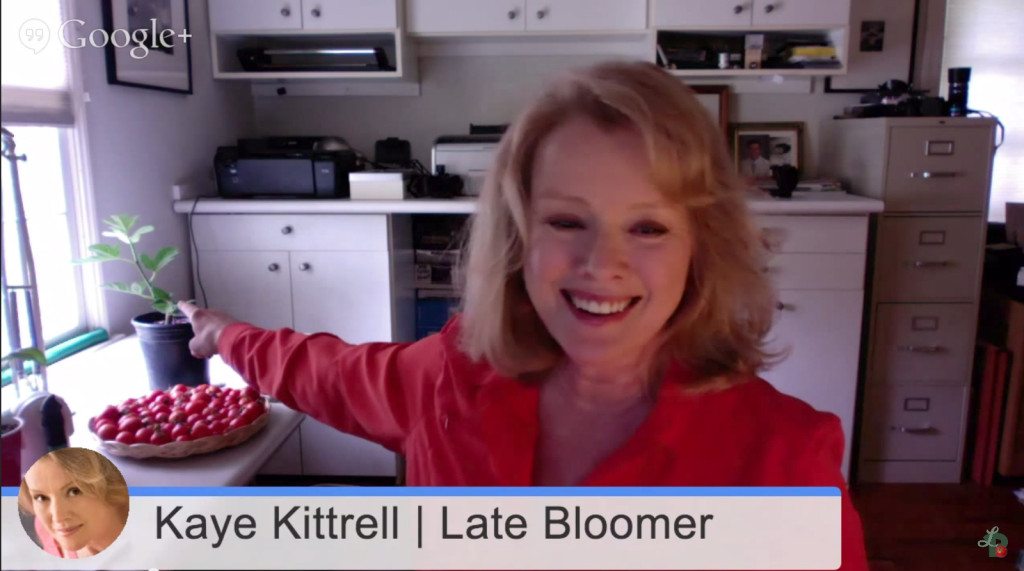 Reflecting on My First Webcast - Kaye