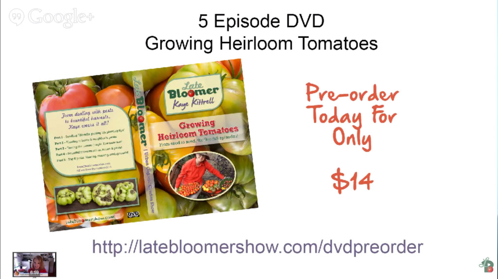 Reflecting on My First Webcast - DVD Preorder