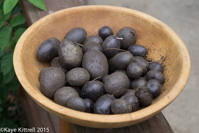 Try adding chestnuts to vegetable soup! - potatoes
