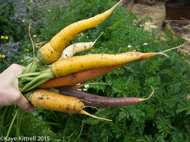 Try adding chestnuts to Vegetable Soup - carrots