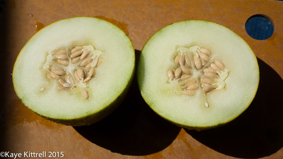 Cutting my losses with melons and beans - sliced melon