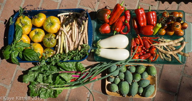 100% Homegrown Soup - harvest