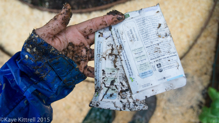 Planting Seeds in El Nino - seed packs