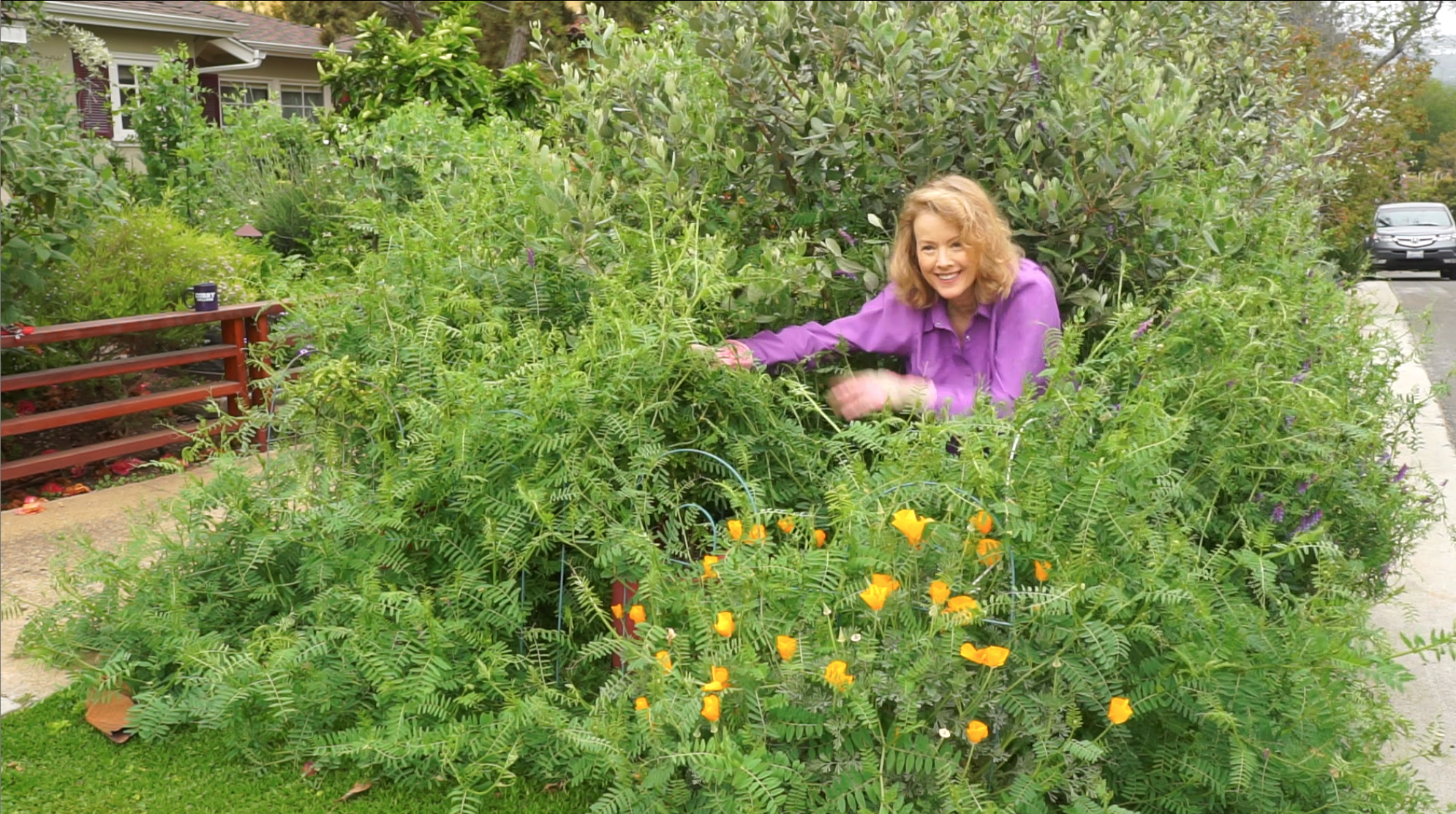 Get your garden under control! - Kaye