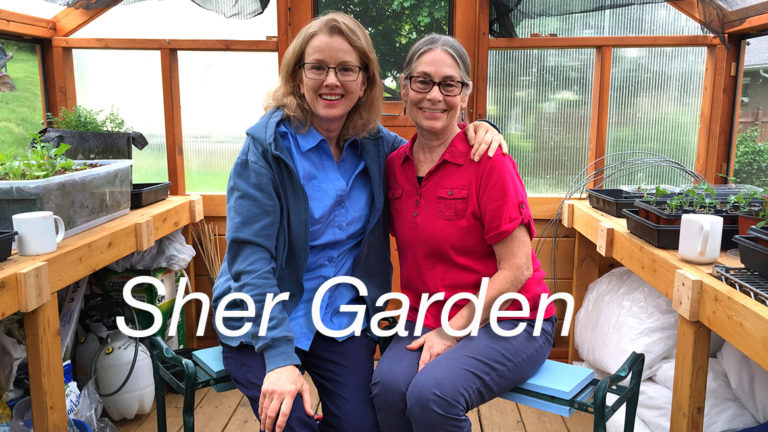 Keeping the Balls in the Air - Kaye & Sher