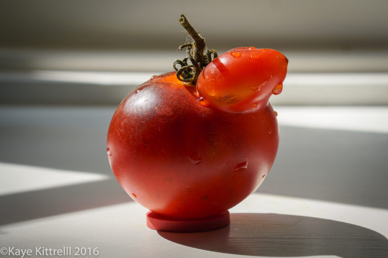 Ugly is Beautiful (Tomatoes) - Chick