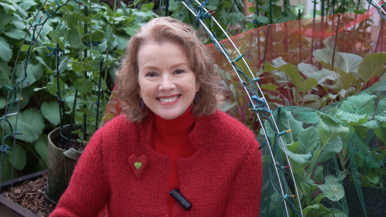 Valentine's Garden Update, Fans, Flowers, More!