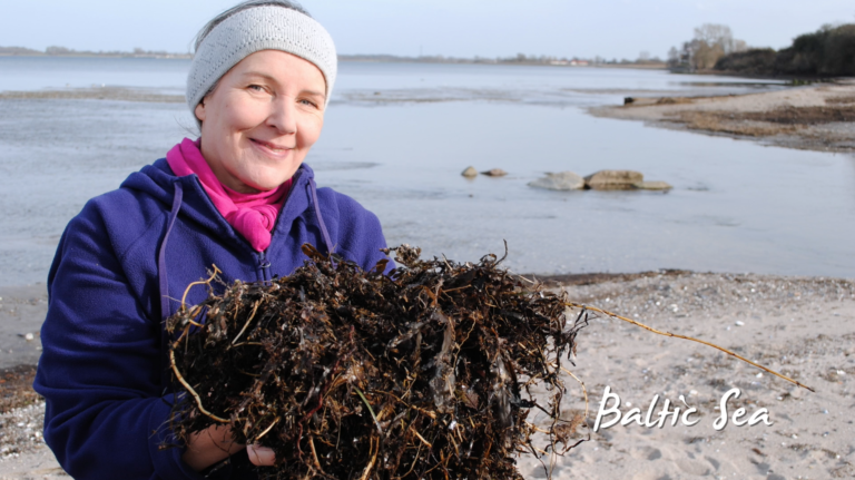 Build Soil with Seaweed - Ranka Tessin