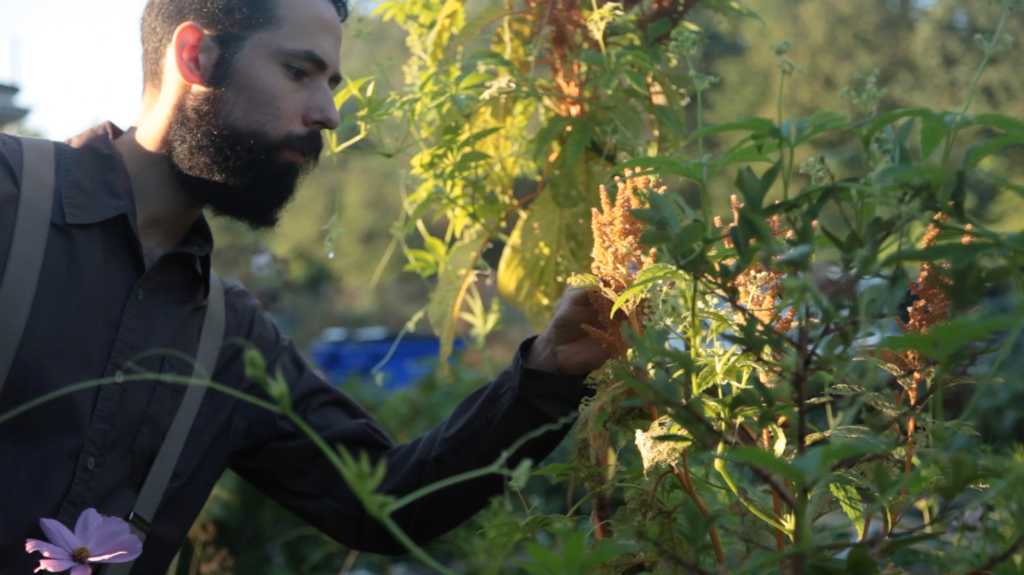 Build Compost with Seaweed - Siloe Oliveira