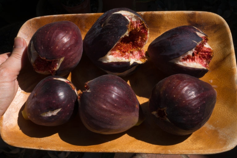 Best fig jam recipe - big figs