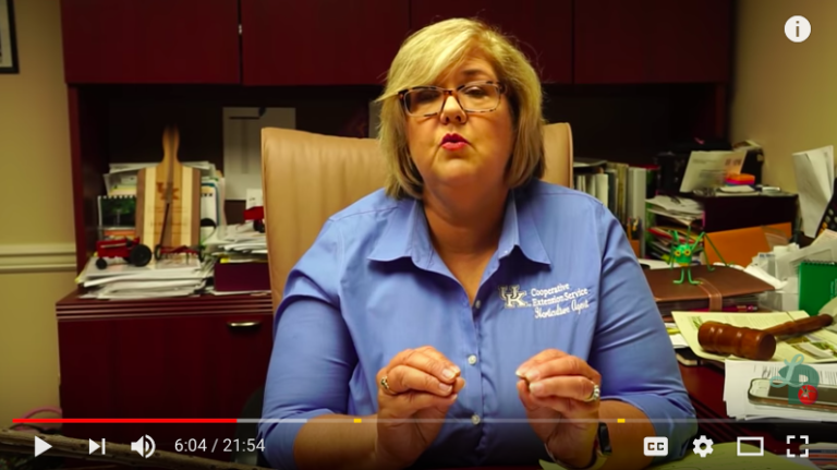 Kentucky Humility and Grace - Lori Bowling