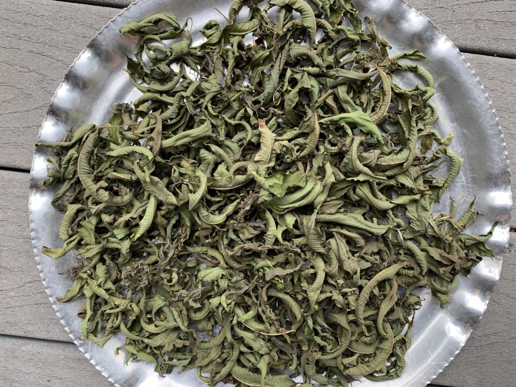 to show dried lemon verbena