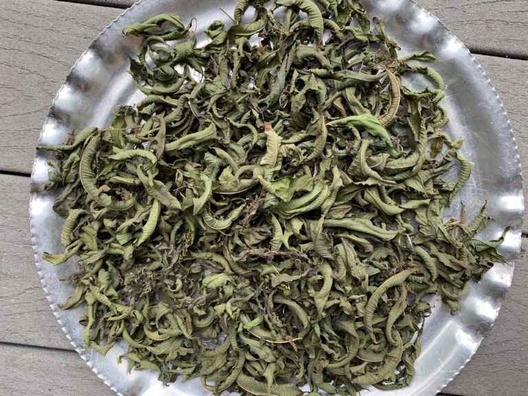 to show dried lemon verbena